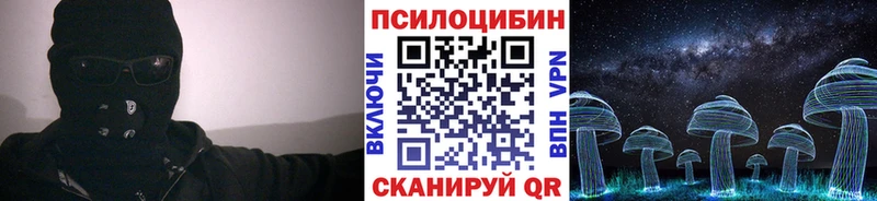 как найти закладки  Иланский  Галлюциногенные грибы Psilocybine cubensis 